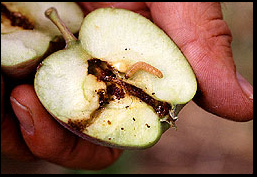 Screen shot 2013-06-07 at 12.51.58 PM