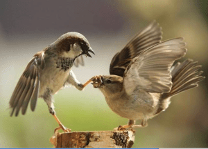 Screen shot 2013-06-10 at 1.22.45 PM