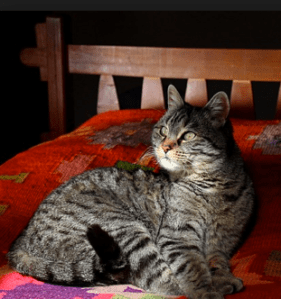 Screen shot 2013-06-12 at 1.12.15 PM