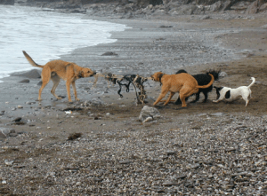 Screen shot 2013-06-14 at 8.23.24 AM