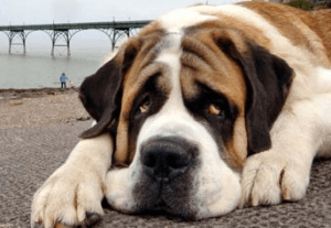 Screen shot 2013-06-27 at 2.26.45 PM