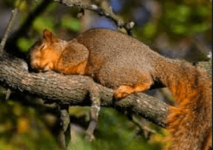 Screen shot 2013-06-27 at 2.29.11 PM