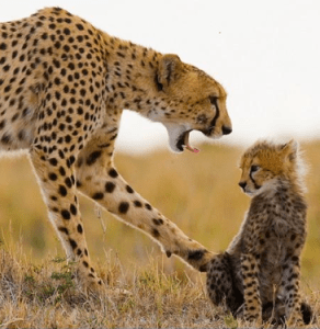 Screen shot 2013-06-27 at 2.32.25 PM