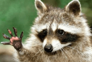 Screen shot 2013-06-27 at 2.38.54 PM