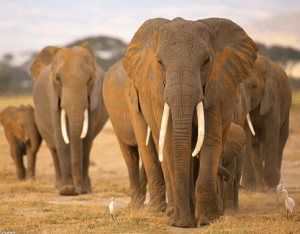 Screen shot 2013-06-27 at 2.42.23 PM