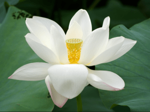 Screen shot 2013-06-28 at 3.06.08 PM