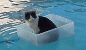 Screen shot 2015-03-11 at 12.25.22 PM