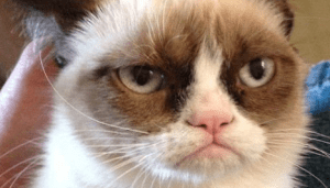 Screen shot 2015-04-17 at 1.10.13 PM