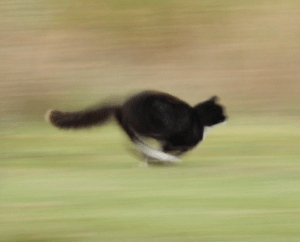 Screen shot 2015-04-28 at 4.04.27 PM