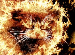 Screen shot 2015-04-28 at 4.13.44 PM