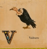 Screen shot 2015-09-01 at 8.17.49 PM