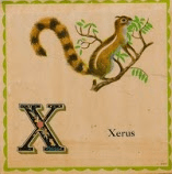 Screen shot 2015-09-01 at 8.18.01 PM