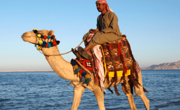 Screen shot 2015-09-22 at 6.56.43 AM