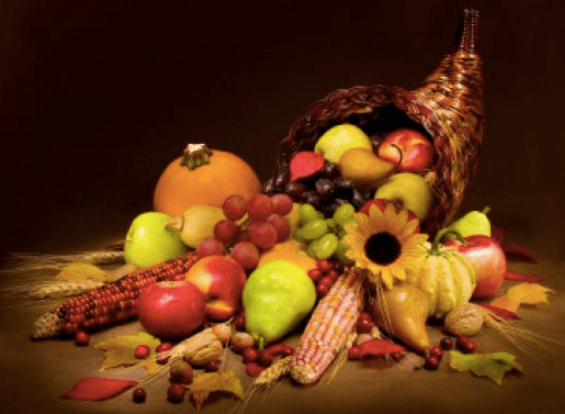 Screen Shot 2015-11-24 at 5.43.38 PM