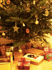 Screen Shot 2015-12-15 at 10.55.09 PM