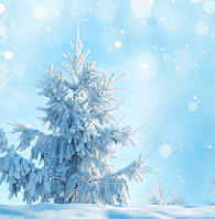 Screen Shot 2015-12-15 at 2.24.36 PM