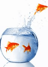 Screen shot 2015-12-30 at 7.32.30 AM